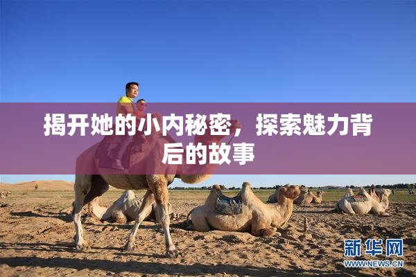 揭开她的小内秘密，探索魅力背后的故事