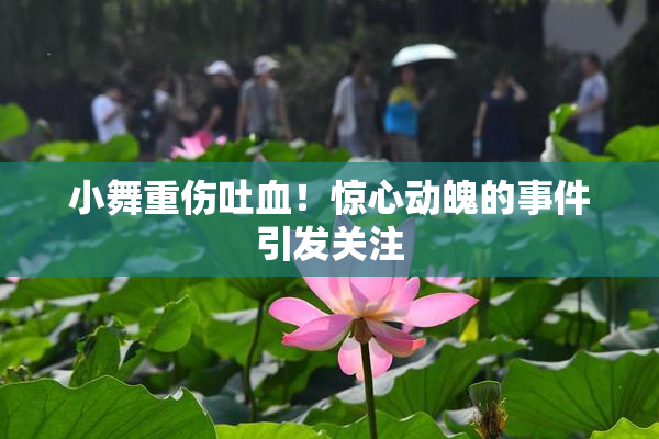 小舞重伤吐血！惊心动魄的事件引发关注