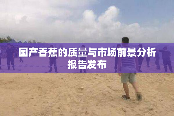 国产香蕉的质量与市场前景分析报告发布