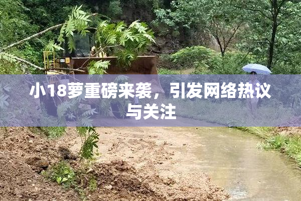 小18萝重磅来袭，引发网络热议与关注