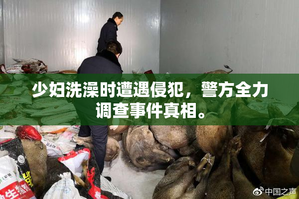 少妇洗澡时遭遇侵犯，警方全力调查事件真相。