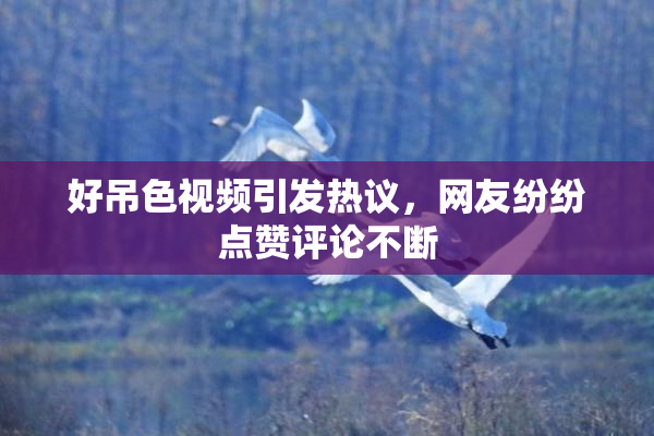 好吊色视频引发热议，网友纷纷点赞评论不断