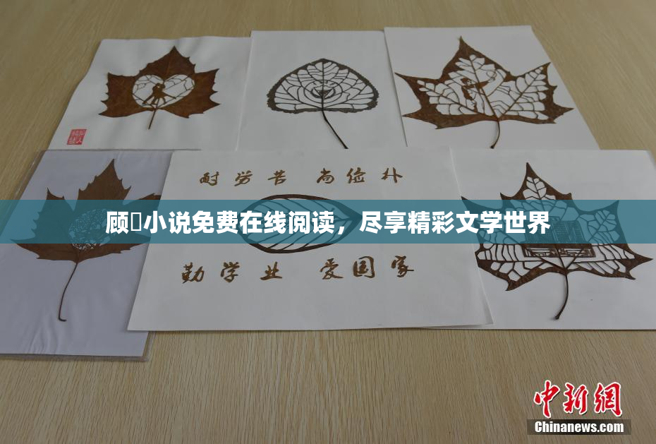 顾嫚小说免费在线阅读，尽享精彩文学世界