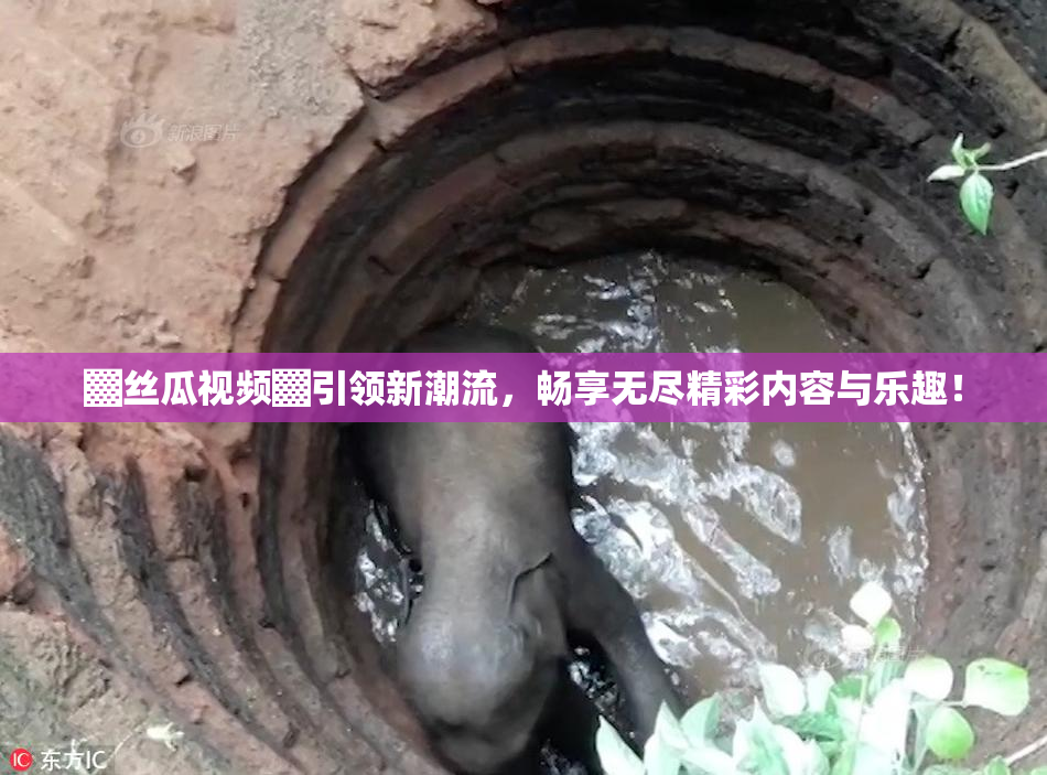 ▓丝瓜视频▓引领新潮流，畅享无尽精彩内容与乐趣！
