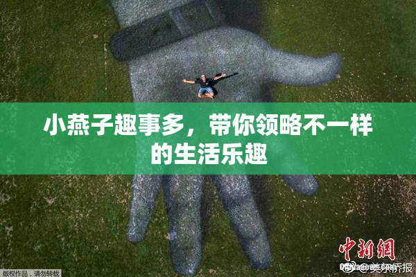 小燕子趣事多，带你领略不一样的生活乐趣