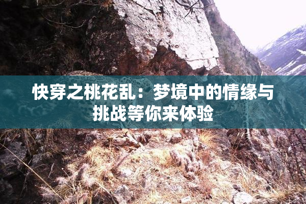 快穿之桃花乱：梦境中的情缘与挑战等你来体验