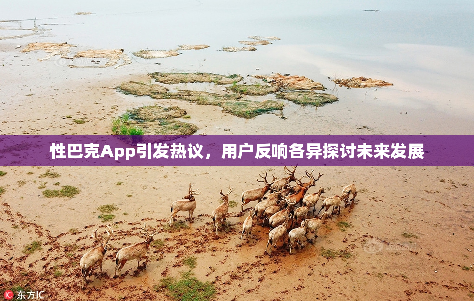 性巴克App引发热议，用户反响各异探讨未来发展
