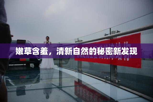 嫩草含羞，清新自然的秘密新发现