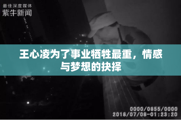 王心凌为了事业牺牲最重，情感与梦想的抉择
