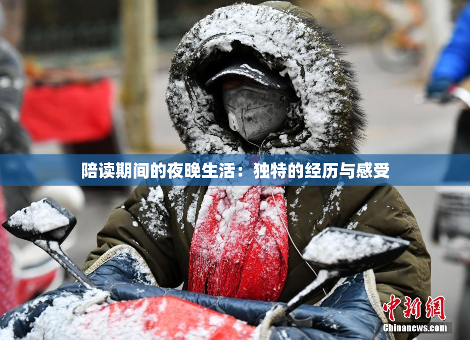 陪读期间的夜晚生活：独特的经历与感受