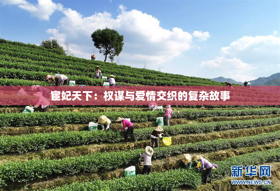 宦妃天下：权谋与爱情交织的复杂故事