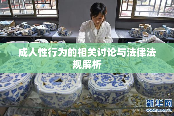 成人性行为的相关讨论与法律法规解析
