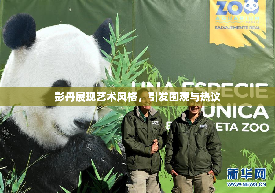 彭丹展现艺术风格，引发围观与热议