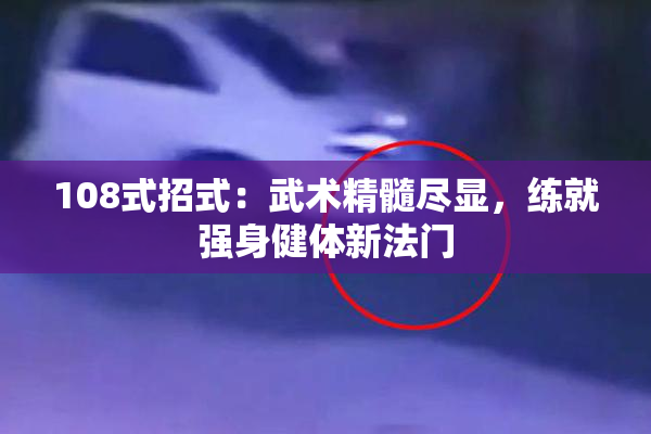 108式招式：武术精髓尽显，练就强身健体新法门