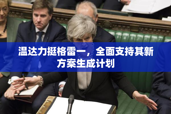 温达力挺格雷一，全面支持其新方案生成计划
