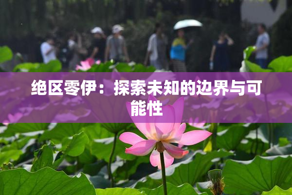 绝区零伊：探索未知的边界与可能性