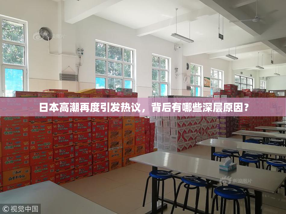 日本高潮再度引发热议，背后有哪些深层原因？