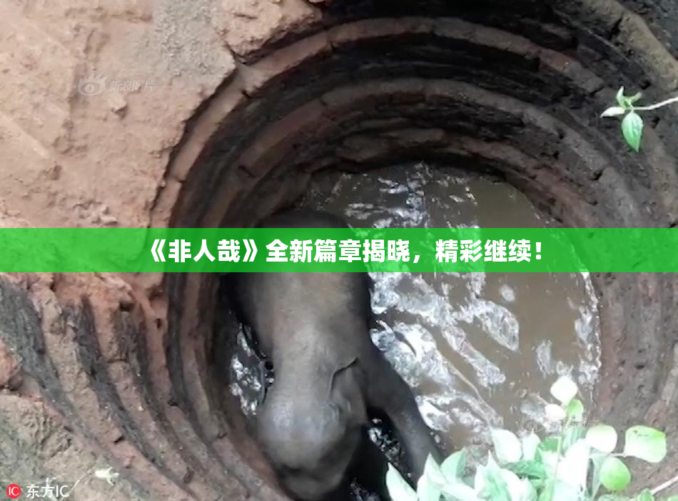 《非人哉》全新篇章揭晓，精彩继续！