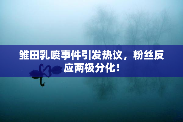雏田乳喷事件引发热议，粉丝反应两极分化！