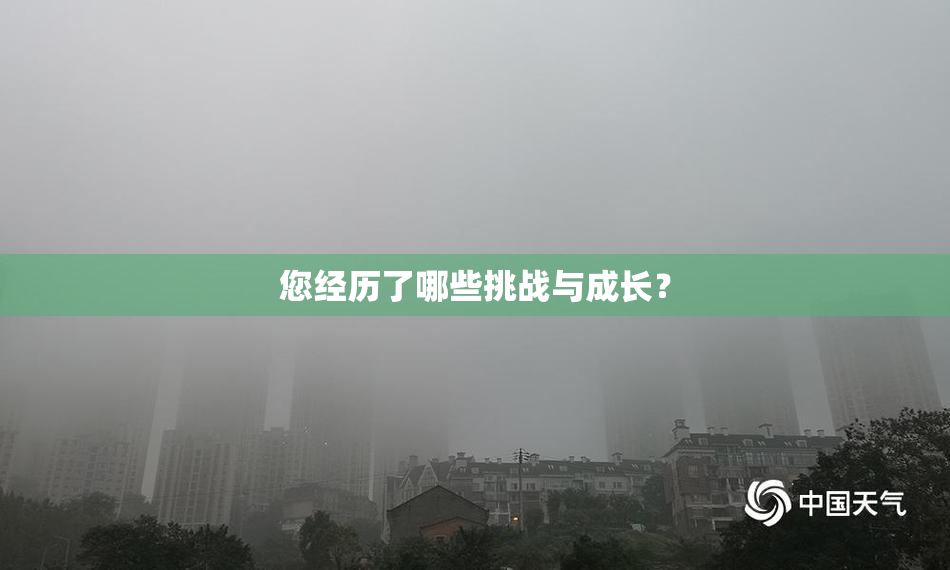 您经历了哪些挑战与成长？