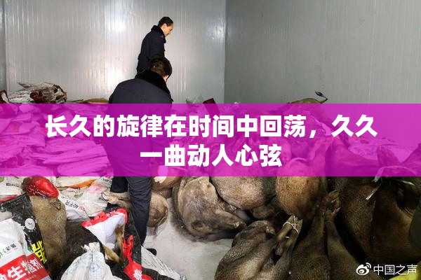 长久的旋律在时间中回荡，久久一曲动人心弦