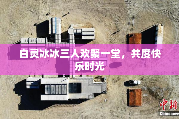 白灵冰冰三人欢聚一堂，共度快乐时光