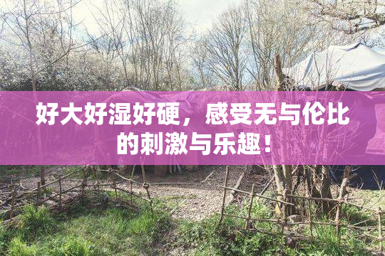 好大好湿好硬，感受无与伦比的刺激与乐趣！