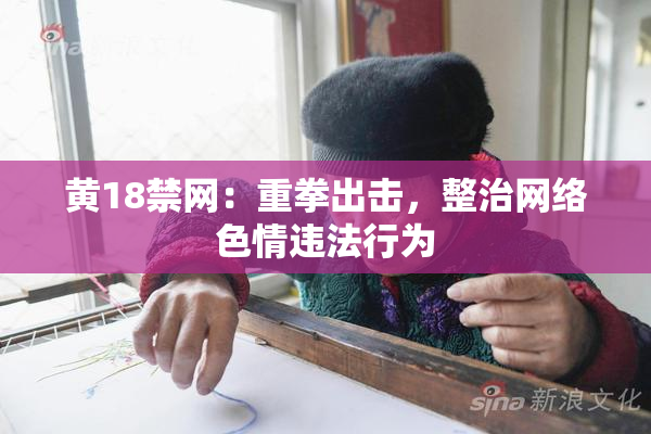黄18禁网：重拳出击，整治网络色情违法行为