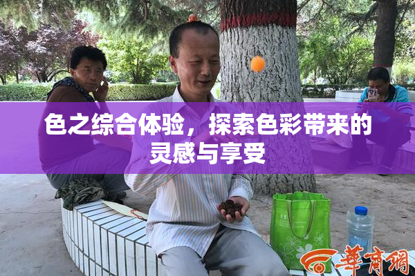 色之综合体验，探索色彩带来的灵感与享受