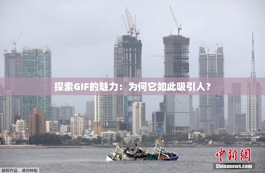 探索GIF的魅力：为何它如此吸引人？