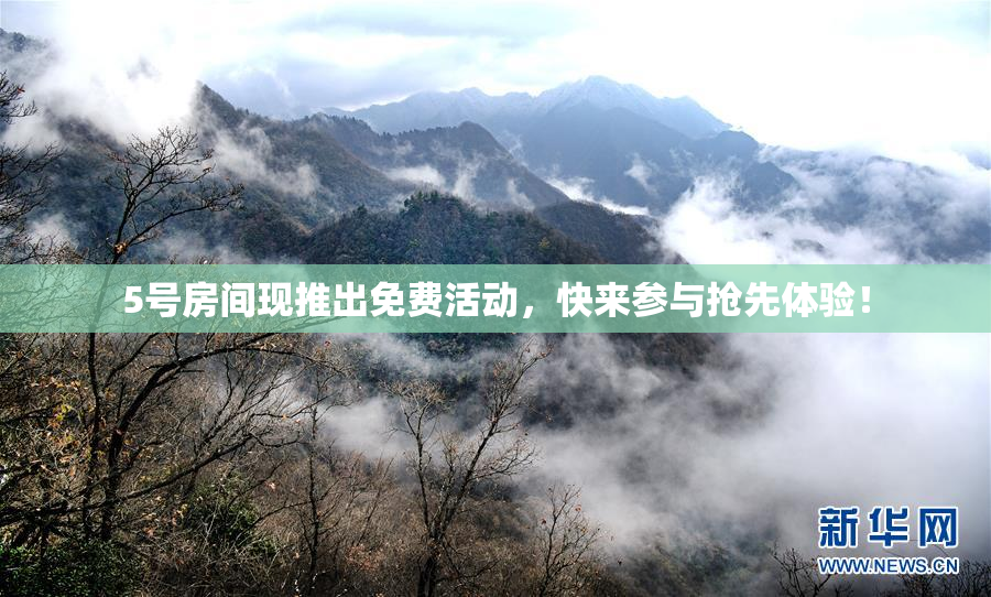 5号房间现推出免费活动，快来参与抢先体验！
