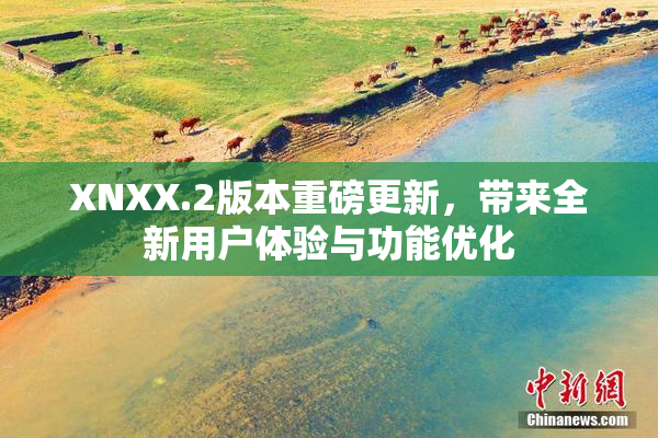XNXX.2版本重磅更新，带来全新用户体验与功能优化