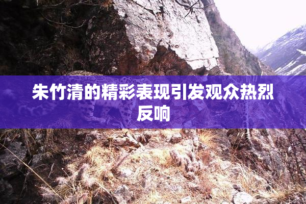 朱竹清的精彩表现引发观众热烈反响