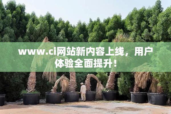 www.ci网站新内容上线，用户体验全面提升！