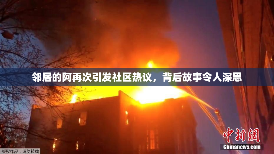 邻居的阿再次引发社区热议，背后故事令人深思