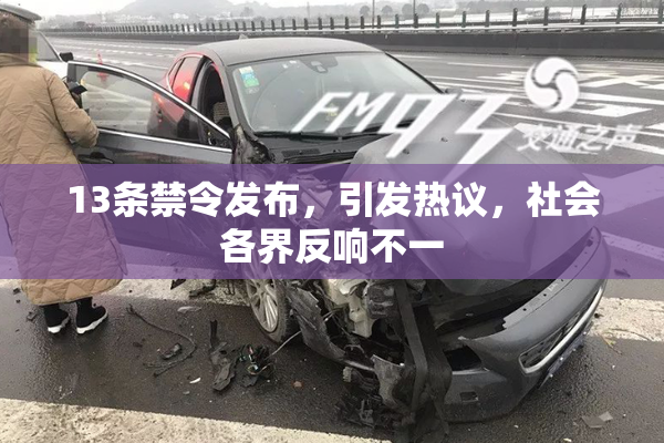 13条禁令发布，引发热议，社会各界反响不一