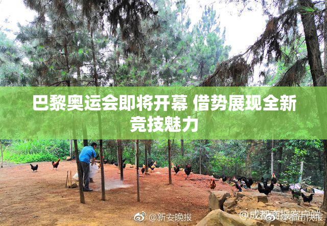 巴黎奥运会即将开幕 借势展现全新竞技魅力