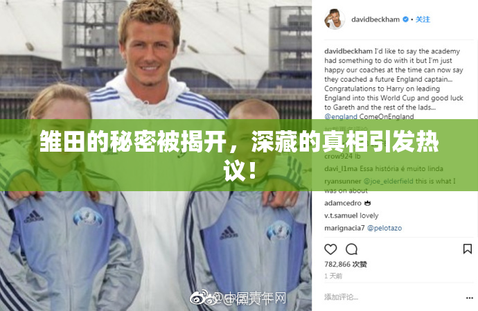 雏田的秘密被揭开，深藏的真相引发热议！