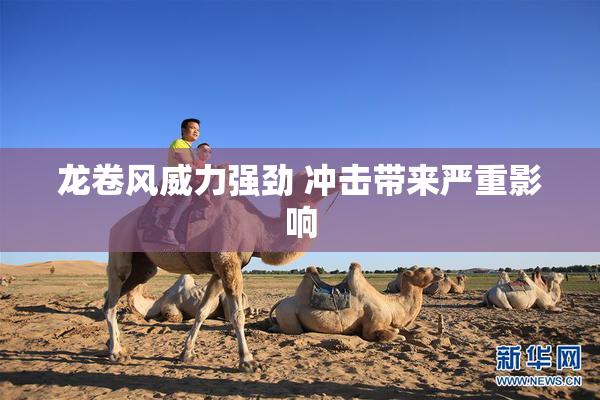 龙卷风威力强劲 冲击带来严重影响