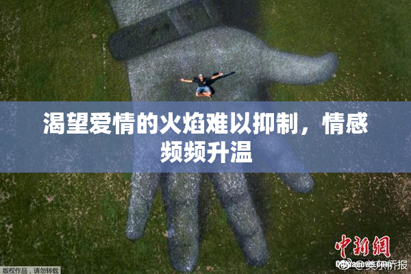 渴望爱情的火焰难以抑制，情感频频升温
