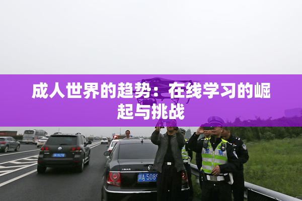 成人世界的趋势：在线学习的崛起与挑战