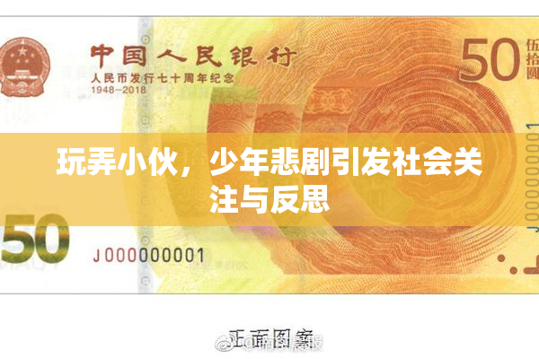 玩弄小伙，少年悲剧引发社会关注与反思