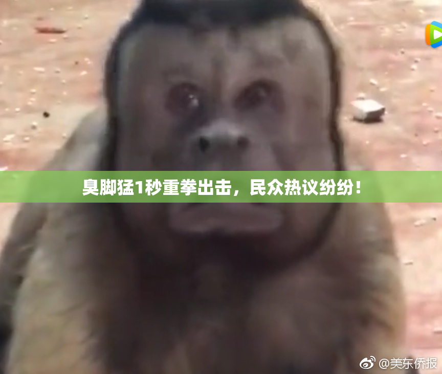 臭脚猛1秒重拳出击，民众热议纷纷！