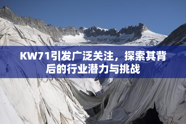 KW71引发广泛关注，探索其背后的行业潜力与挑战