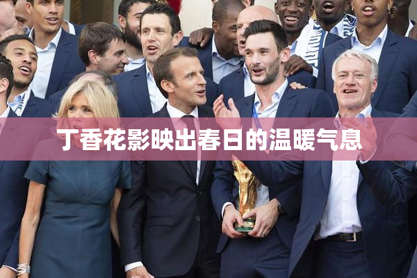 丁香花影映出春日的温暖气息
