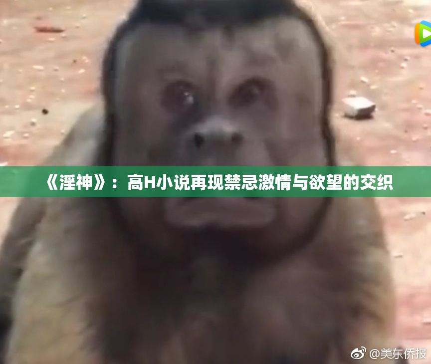 《淫神》：高H小说再现禁忌激情与欲望的交织