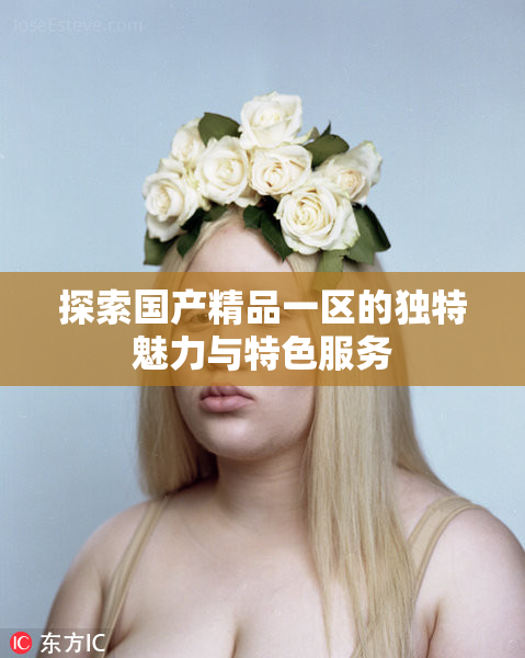 探索国产精品一区的独特魅力与特色服务