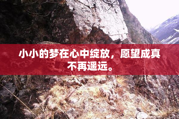 小小的梦在心中绽放，愿望成真不再遥远。
