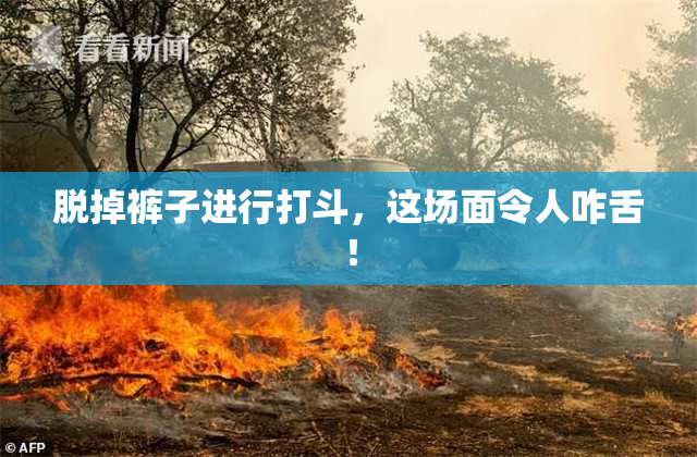 脱掉裤子进行打斗，这场面令人咋舌！