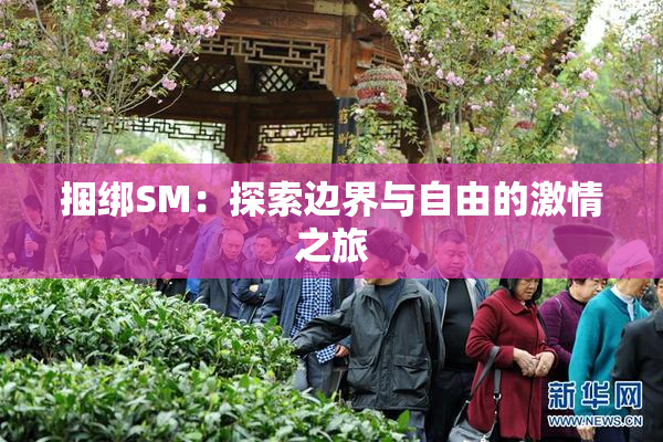 捆绑SM：探索边界与自由的激情之旅